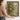 Camellia by the Panes Wall Art in a Gold Ornate Frame, held to show its size