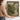 The Fernery Wall Art in a Gold Ornate Frame, held to show its size