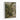 The Fernery Wall Art in a White Floating Frame